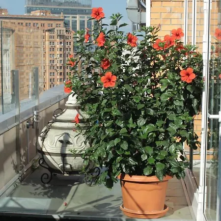 Hotel Asteri